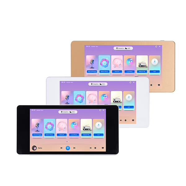 مكبر و مشغل  صوت شبكي ستيريو للموسيقى موديل DM838II